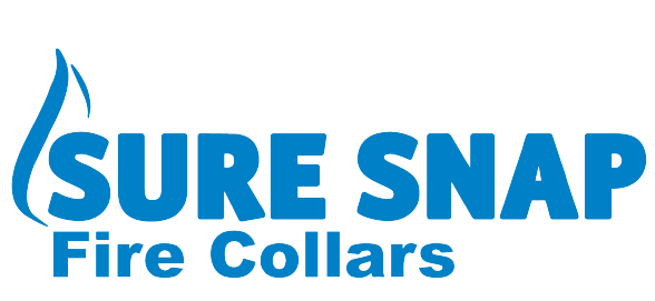 SS logo left V2